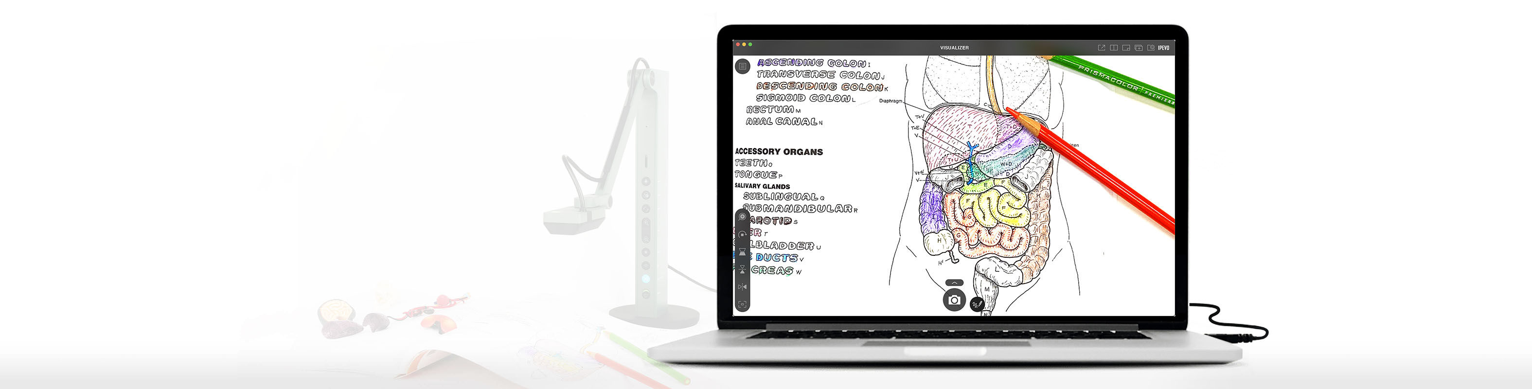 IPEVO (CA)| innovating communications